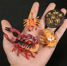 Load image into Gallery viewer, Scorpion Life Cycle Kit. Life cycle of Scorpions growth 4 stages.
