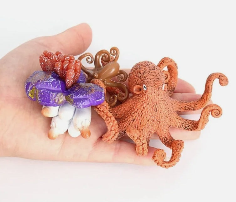 Octopus Life Cycle Kit