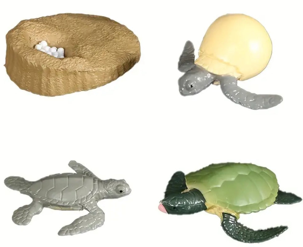Sea Turtle Life Cycle Kit